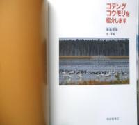 コテングコウモリを紹介します 月刊たくさんのふしぎ324号　2012年初版　福音館書店　g
