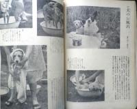 美しい暮しの手帖　昭和27年17号　女ひとりで解決したアパート住まい　y
