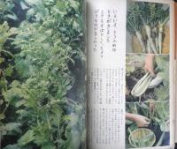 暮しの手帖　昭和38年69号　保育園はなんのために　y
