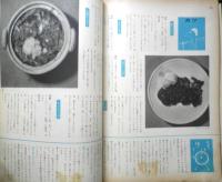 暮しの手帖　昭和31年34号　天ぷら油をテストする　d
