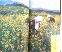 暮しの手帖　昭和35年53号　赤ちゃんに注意！　b
