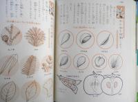 小学館入門百科シリーズ14　採集・標本入門　昭和46年初版　監修/松田修・矢島稔　q
