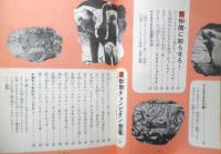 なぞ神秘 動物の超能力　小原秀雄　発行年不明　ジュニアチャンピオンコース　学研　t
