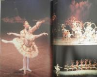 バレリーナへの道　Vol.4　平成5年初版　巻頭特集/「眠れる森の美女」　文遠社編　b
