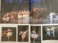 バレリーナへの道　Vol.5　平成5年初版　巻頭特集/「ジゼル」　文遠社編　n
