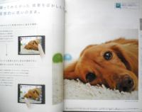 Panasonic　デジカメ　カタログ　パンフレット　2点セット　2010年　a19
