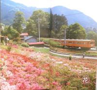 新 国鉄2万キロの旅　全245線完全ガイド　種村直樹　昭和58年2刷　廣済堂　q