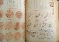 小学館入門百科シリーズ14　採集・標本入門　昭和46年初版　監修/松田修・矢島稔　c