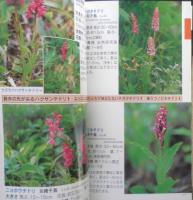 八方尾根花の旅　石原敏行　平成13年発行　ネイチャーガイド104　q