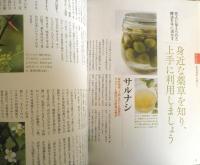 漢方のちから　2014年Vol.4　巻頭特集/今、なぜ漢方なのか　メディアパルムック　w