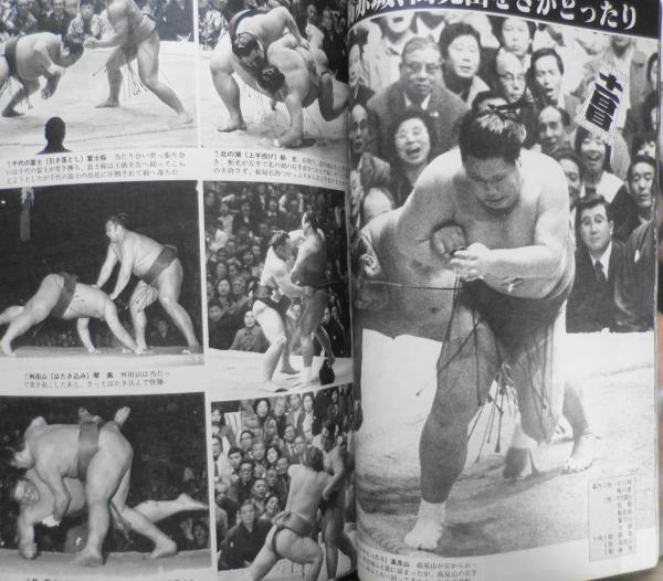 大相撲 昭和56年5月号 春場所総決算号 読売新聞社 o / 古本、中古本