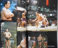 北の富士勝昭・玉の海正洋・琴桜傑将 別冊相撲秋季号・昭和の名横綱