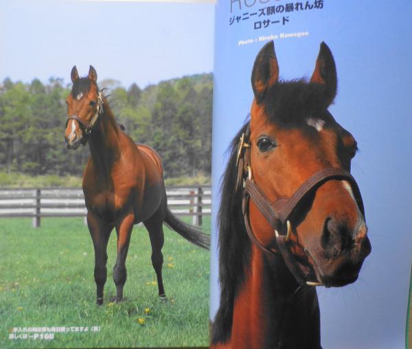 あの馬は今？」ガイド2004-2005 2004年初版 y / 古本、中古本、古書籍