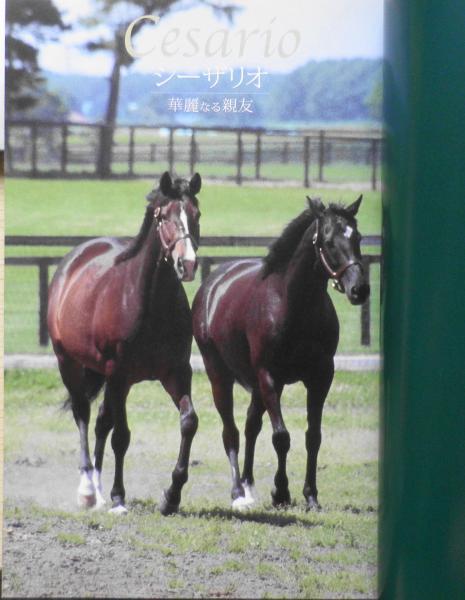 あの馬は今?」ガイド2006-2007 2006年2刷 y / 古本、中古本、古書籍の あの馬は今?」ガイド2006-2007 2006年2刷 y / 古本、中古本、古書籍の