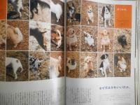 BRUTUS/ブルータス　2008年3月1日号No.634　「犬のこと」　v