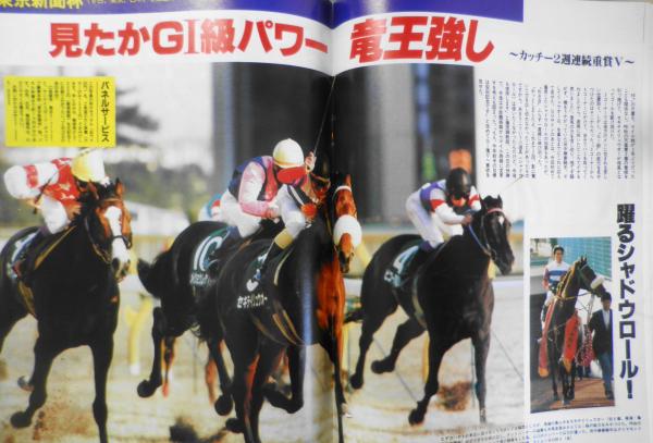 競馬・雑誌・ナリタブライアン・ビワハヤヒデ 競馬・雑誌・ナリタブライアン・ビワハヤヒデ 競馬 - ビワハヤヒデ｜東