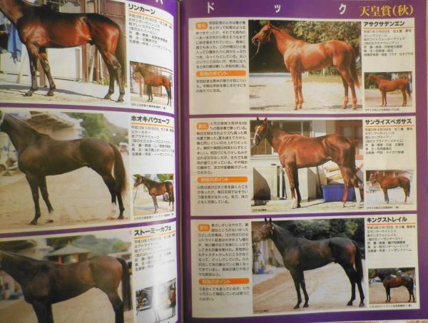 週刊ギャロップ 2005年10月30日号 ディープインパクト！衝撃の