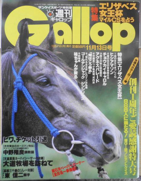 週刊ギャロップ 1994年11月13日号 中舘英二、小島貞博、河内洋/有力