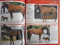 週刊ギャロップ　2006年5月28日号　巻頭特集/東京優駿・日本ダービー 3
