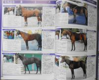 週刊ギャロップ　2007年12月23日号 特集/巻頭スペシャル有馬記念　z
