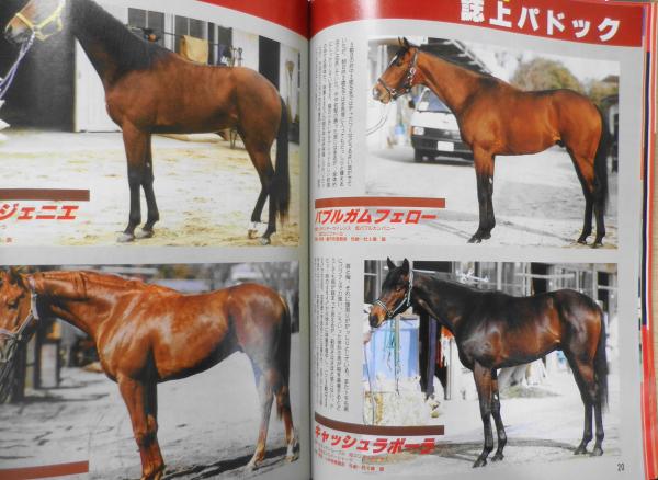 週刊ギャロップ　1996年　全巻 週刊ギャロップ 1996年3月24日号 鈴木淑子のみ～んな友達/境