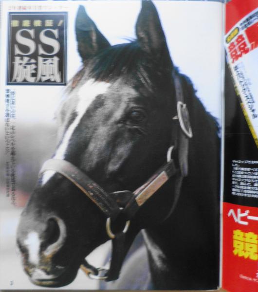週刊ギャロップ　2001年　全巻 週刊ギャロップ 1996年4月28日号 鈴木淑子のみ～んな友達/ゲスト・吉田