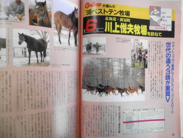 週刊ギャロップ 1997年2月16日号 特集/フェブラリーS d / 古本、中古本