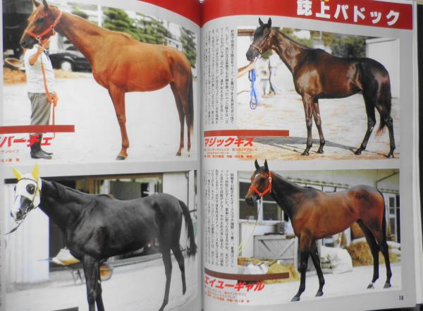 週刊ギャロップ 1995年9月24日号 いぶし銀の技に冴え！オートマ操る