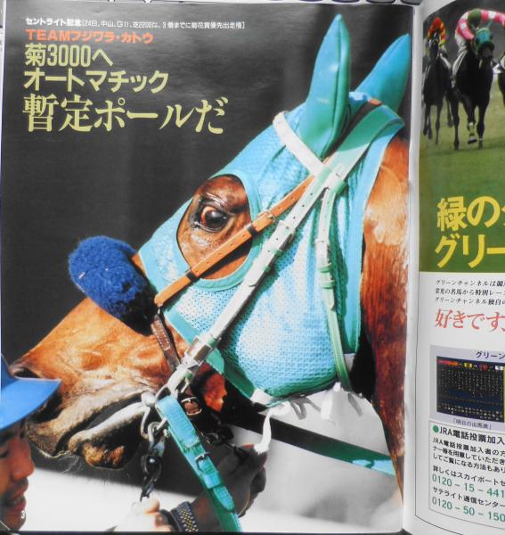 週刊ギャロップ 1995年9月24日号 いぶし銀の技に冴え！オートマ操る