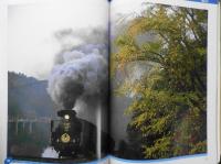 鉄道撮影JR線パーフェクト　トラベルMOOK　平成11年初版　s