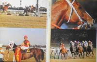 優駿　昭和54年12月号　有馬記念・忘れ得ぬ馬たち　b