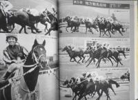 優駿　昭和56年8月号　特集/それぞれの夏・虫明亜呂無・古井由吉　g