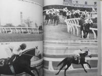 優駿　昭和56年1月号　わが国最初の人馬国際競争・ジャパンカップ　b