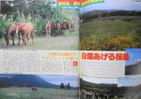 優駿　昭和56年9月号　特集/いま、母に注目する　3