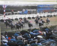 優駿　昭和55年12月号　新装成った京都競馬場　a