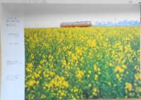 鉄道ピクトリアル　昭和54年4月号No.360　第22回鉄道写真コンクール入選発表　y