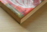 ライオンたちの城　大和和紀　昭和52年初版　講談社KCフレンド　w