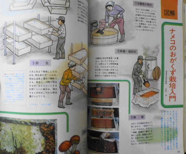 家の光 昭和48年3月号 特集/交通事故・あなたもいつ加害者に? c 家の光 昭和48年3月号 特集/交通事故・あなたもいつ加害者に? c