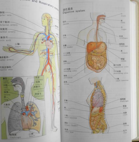 保健同人ポケット家庭の医学 1990年5刷（増補） 東京証券健康保険組合