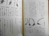 怪談 小泉八雲 昭和42年初版 偕成社　ホームスクール版/日本の文学5　n
