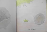 これはなに？　さいとゆふじ　年少版こどものとも103号　1985年初版　福音館書店　g
