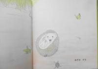 これはなに？　さいとゆふじ　年少版こどものとも103号　1985年初版　福音館書店　g
