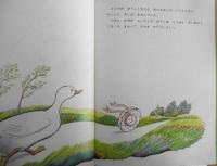 あひるさんのぼうし　神沢利子　太田大八　こどものとも年中向き　1989年2刷　福音館書店　t
