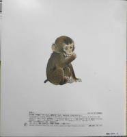 きもちわかるかな　にほんざるのくらし　水原洋城　木村しゅうじ　かがくのとも227号　1988年初版　福音館書店　l
