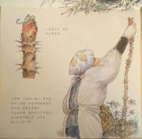 たらのき　日浦勇　石部虎二　かがくのとも204号　1986年初版　福音館書店　b
