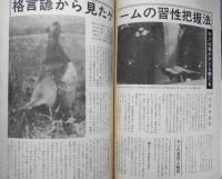 狩猟の世界　昭和56年11月号　格言諺から見たゲームの習性把握法　a
