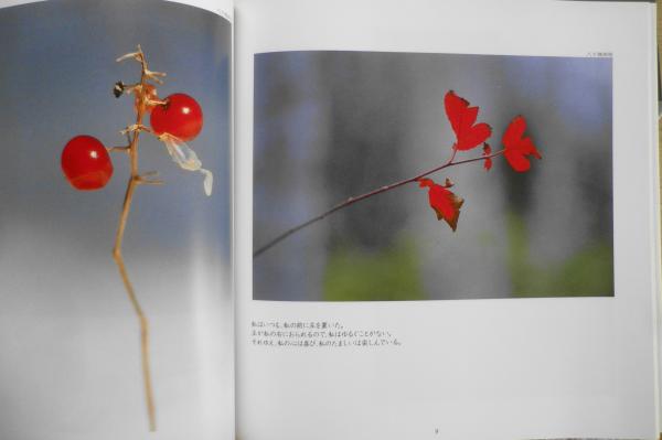 静寂の時 詩篇の森 森本二太郎 1995年再刷 いのちのことば社 h / 古本