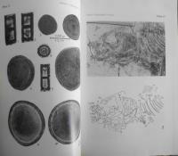 国立科学博物館専報　第3号　対馬（一部壱岐を含む）の自然史科学的総合研究（Ⅲ）　昭和45年初版　t
