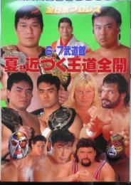 全日本プロレス　'96スーパーパワー・シリーズ　夏も近づく王道前回　パンフレット　チケット半券付き　6
