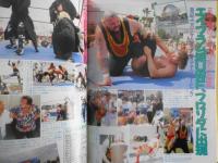 週刊プロレス　平成3年5月7日No.433　三冠戦/鶴田VS三沢　ベースボール・マガジン社　g
